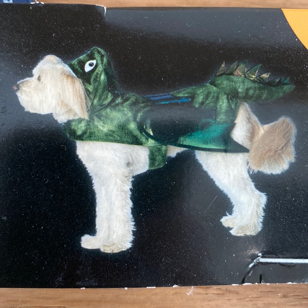 HALLOWEEN | XL dinosaur dog costume